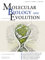 Die Forschungsarbeit aus Halle ist auf der Titelseite der aktuellen Ausgabe von "Molecular Biology and Evolution" zu sehen. Foto: Molecular Biology and Evolution