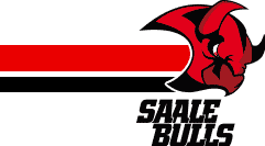 Saale Bulls versteigern Helme -  - Onlinemagazin aus Halle ( Saale)
